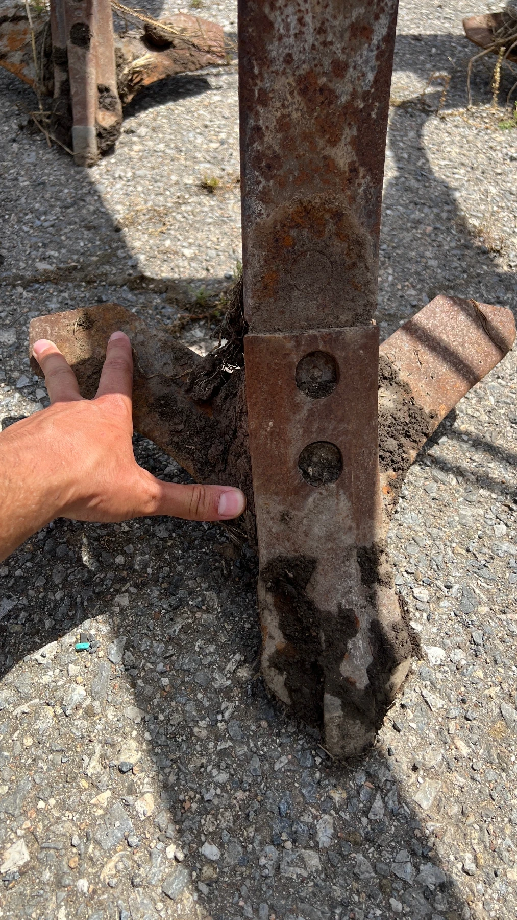 ����� Horsch | Mobile.bg � ����������� 9