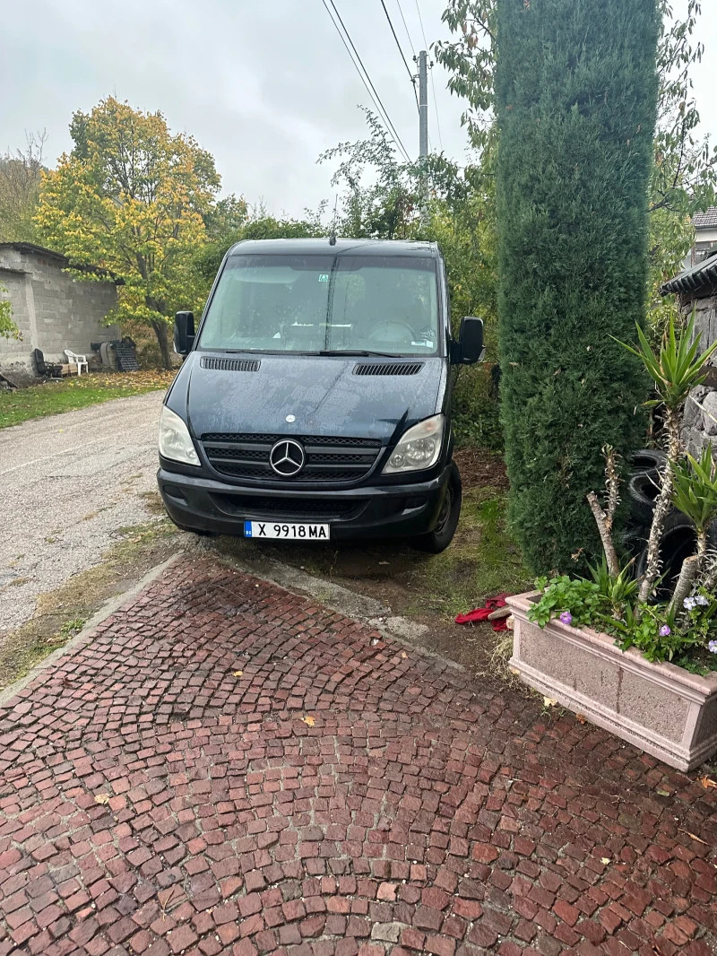 Mercedes-Benz Sprinter 311 Петнически 8+ 1