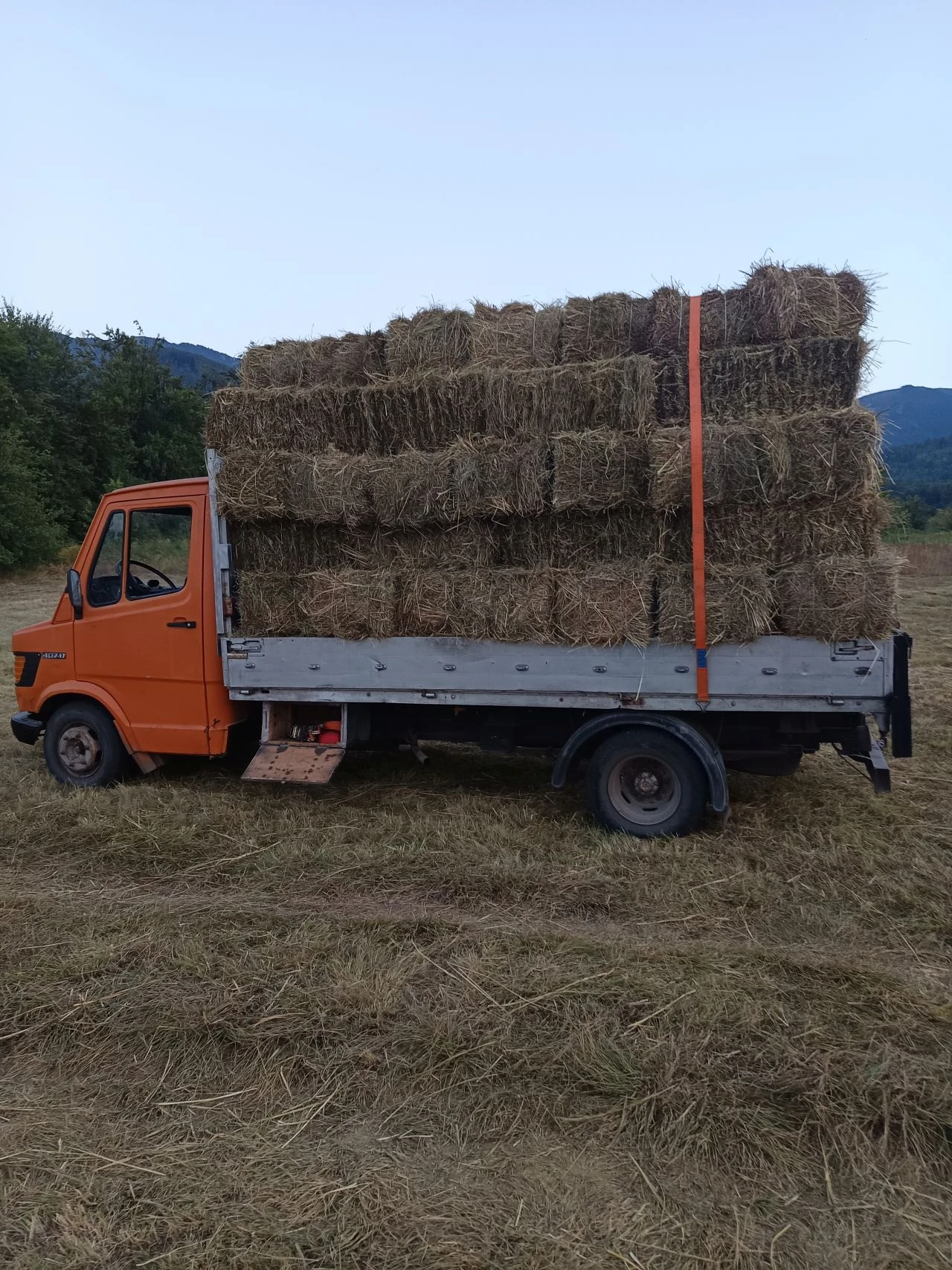 Mercedes-Benz 207 407, снимка 3 - Бусове и автобуси - 56144711