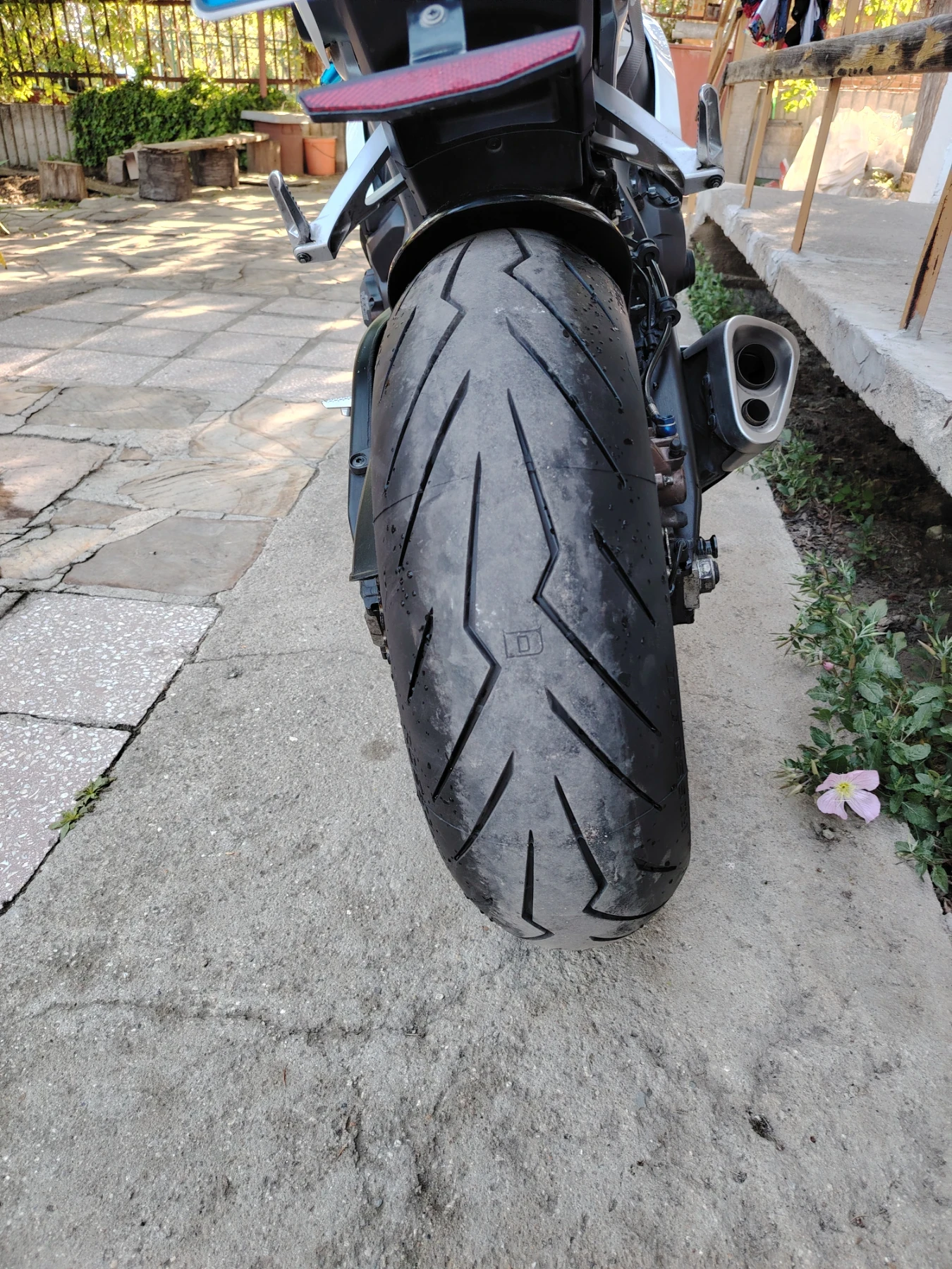 Honda Cbr  - изображение 10