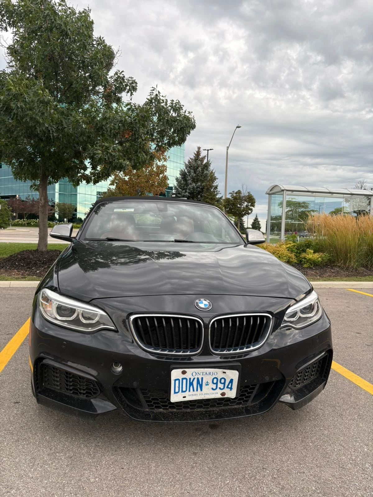 BMW 240 XDRIVE * CABRIO* ��������* ������*  | Mobile.bg � ����������� 2