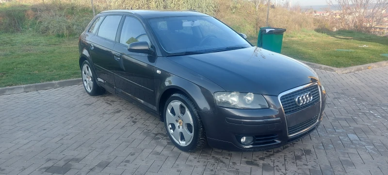 Audi A3 1.9 TDI , снимка 3 - Автомобили и джипове - 52616569