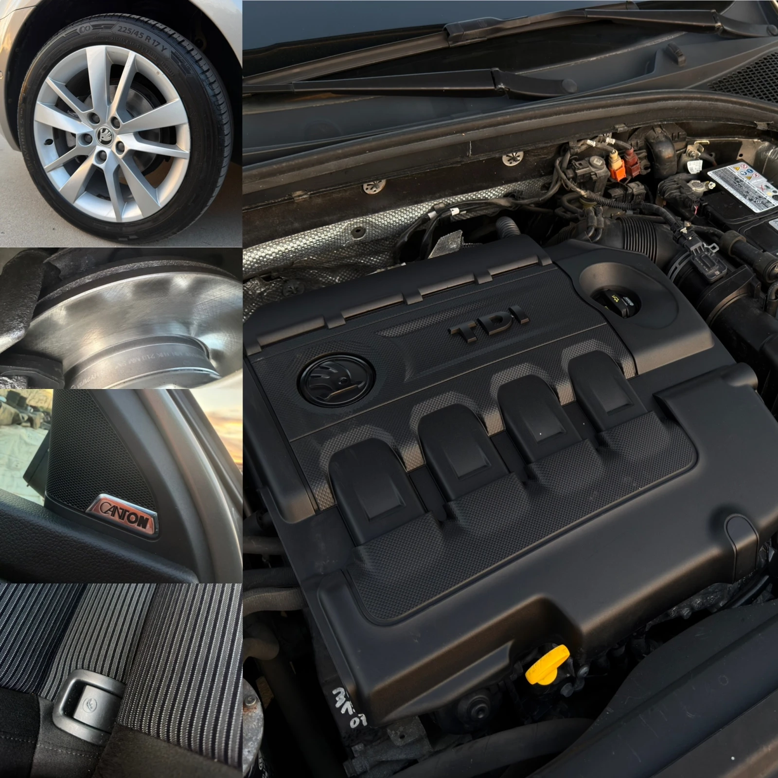 Skoda Octavia TDI/COMMON-RAIL/ELEGANCE, снимка 14 - Автомобили и джипове - 54314798