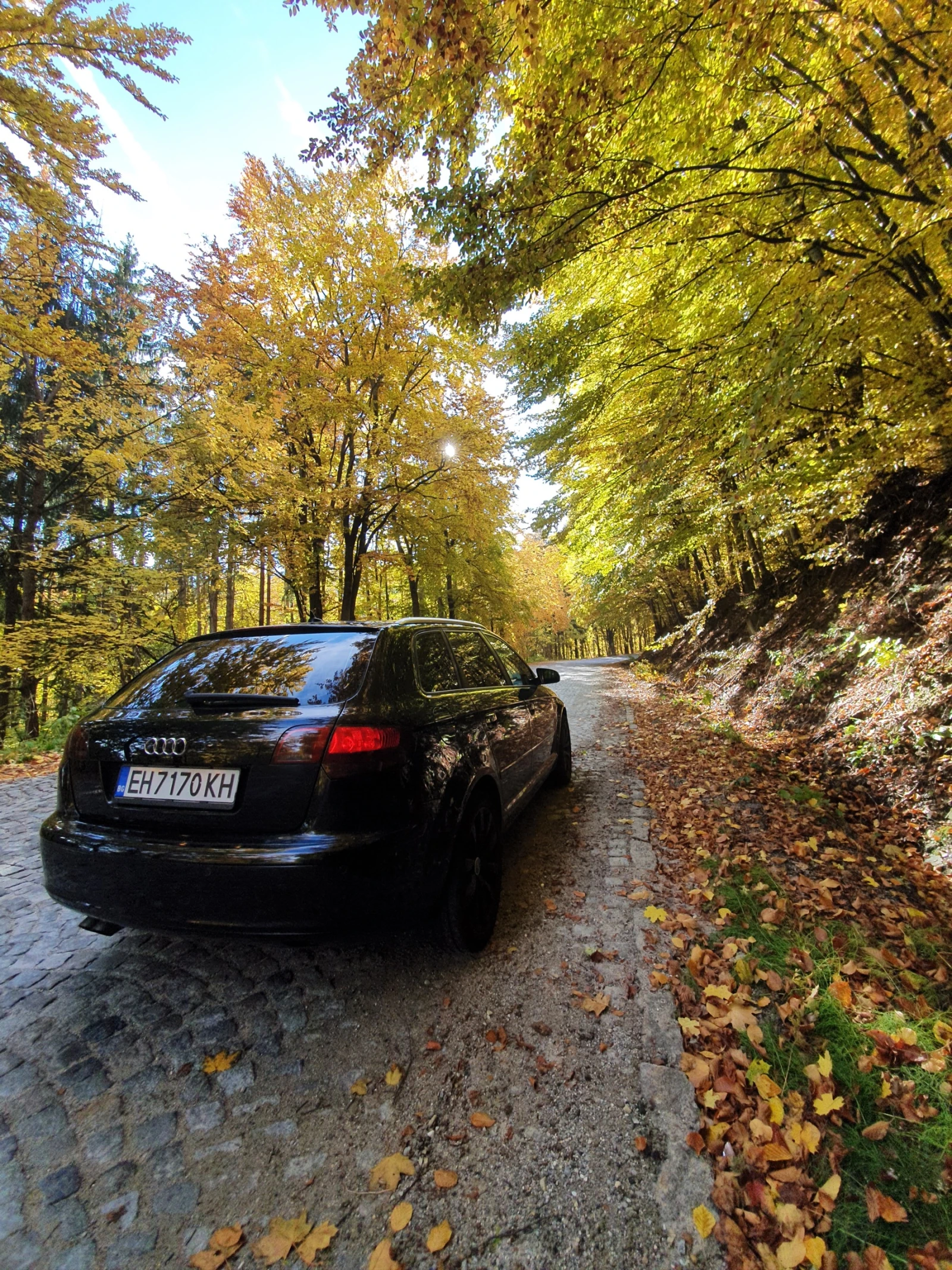 Audi A3, снимка 2 - Автомобили и джипове - 54317698