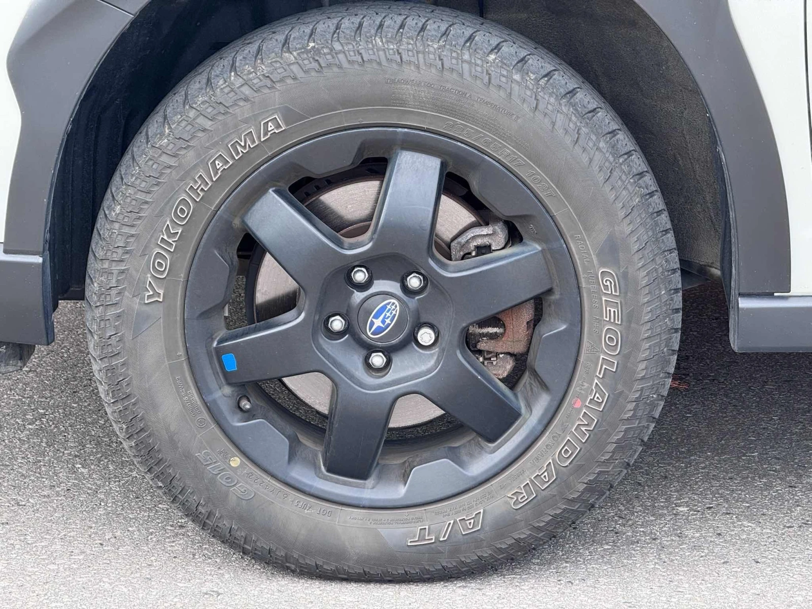 Subaru Outback * Wilderness * ��� ���������*  | Mobile.bg � ����������� 7
