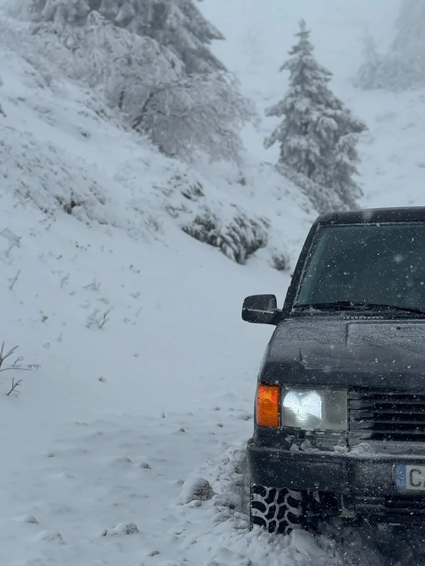 Land Rover Range rover P38 | Mobile.bg � ����������� 13