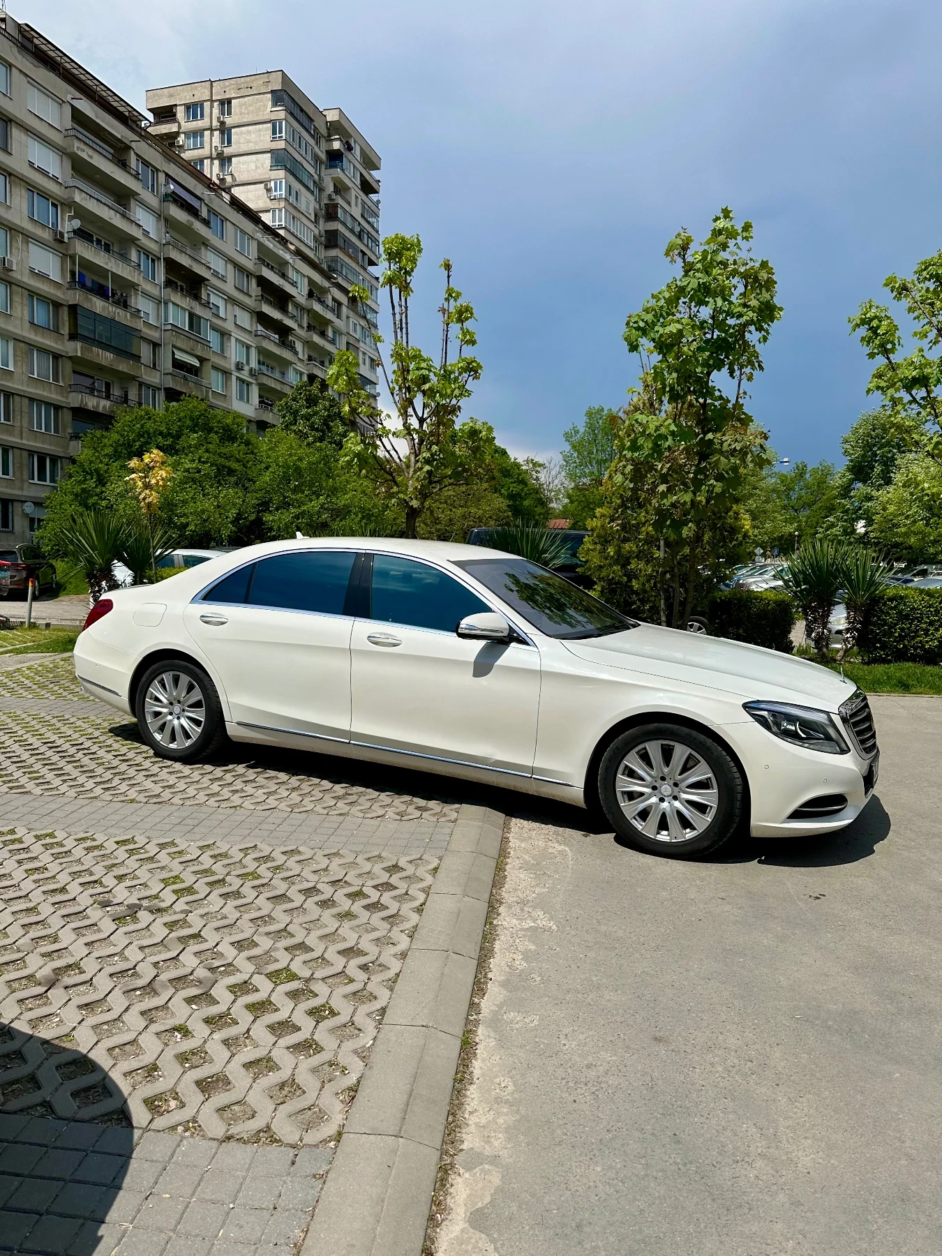 Mercedes-Benz S 500 Long - изображение 5