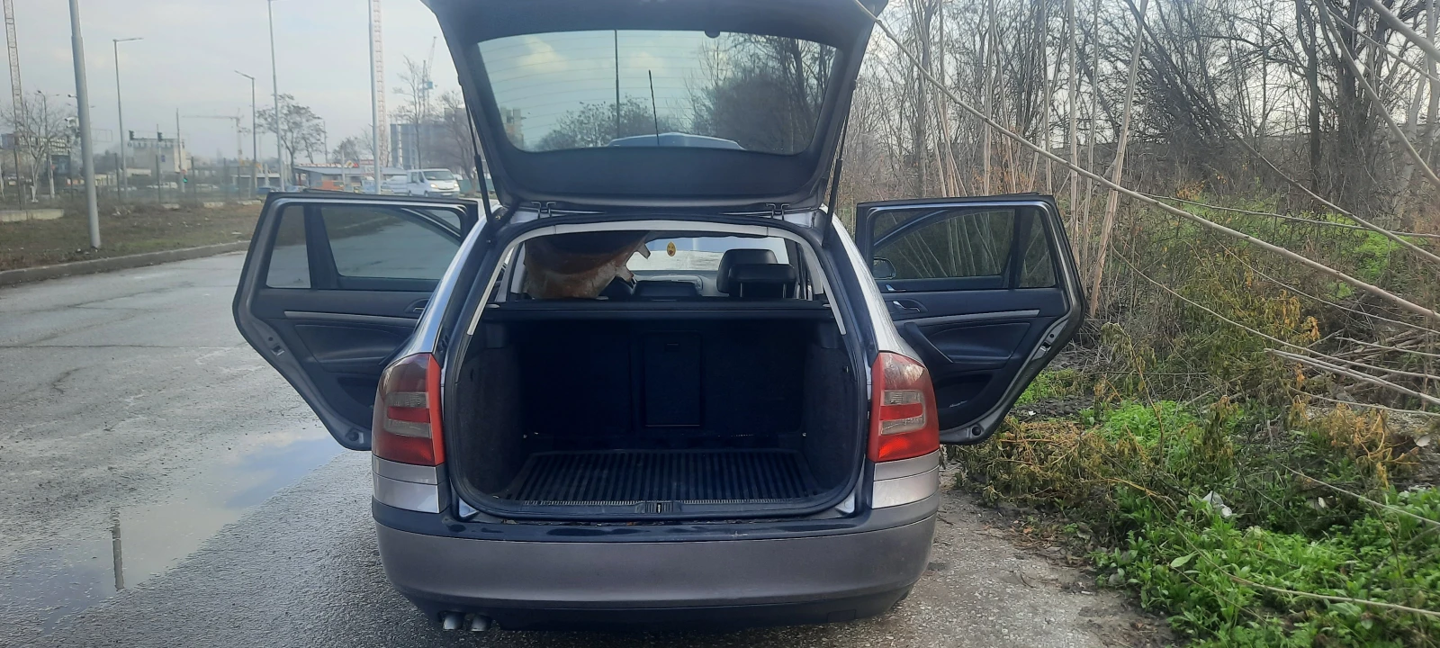 Skoda Octavia  - изображение 2