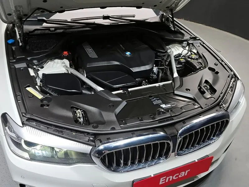 BMW 520 (G30) Luxury, снимка 6 - Автомобили и джипове - 55748001