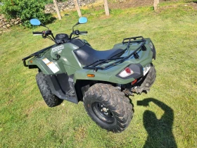 Arctic Cat TRV ALTERRA 450 EFI, снимка 12