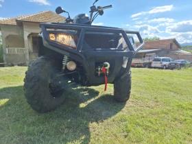 Arctic Cat TRV ALTERRA 450 EFI, снимка 10