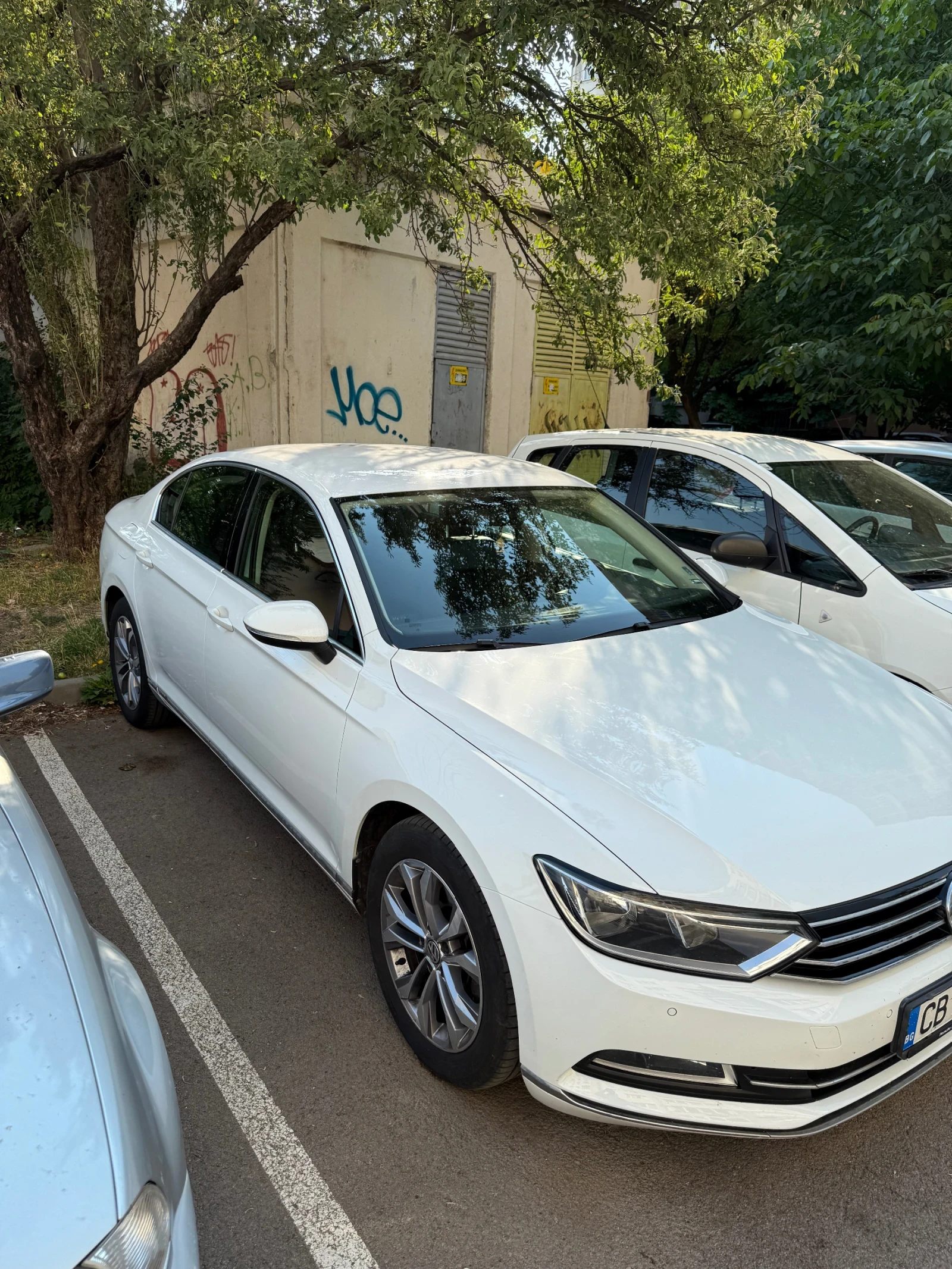VW Passat  - изображение 5