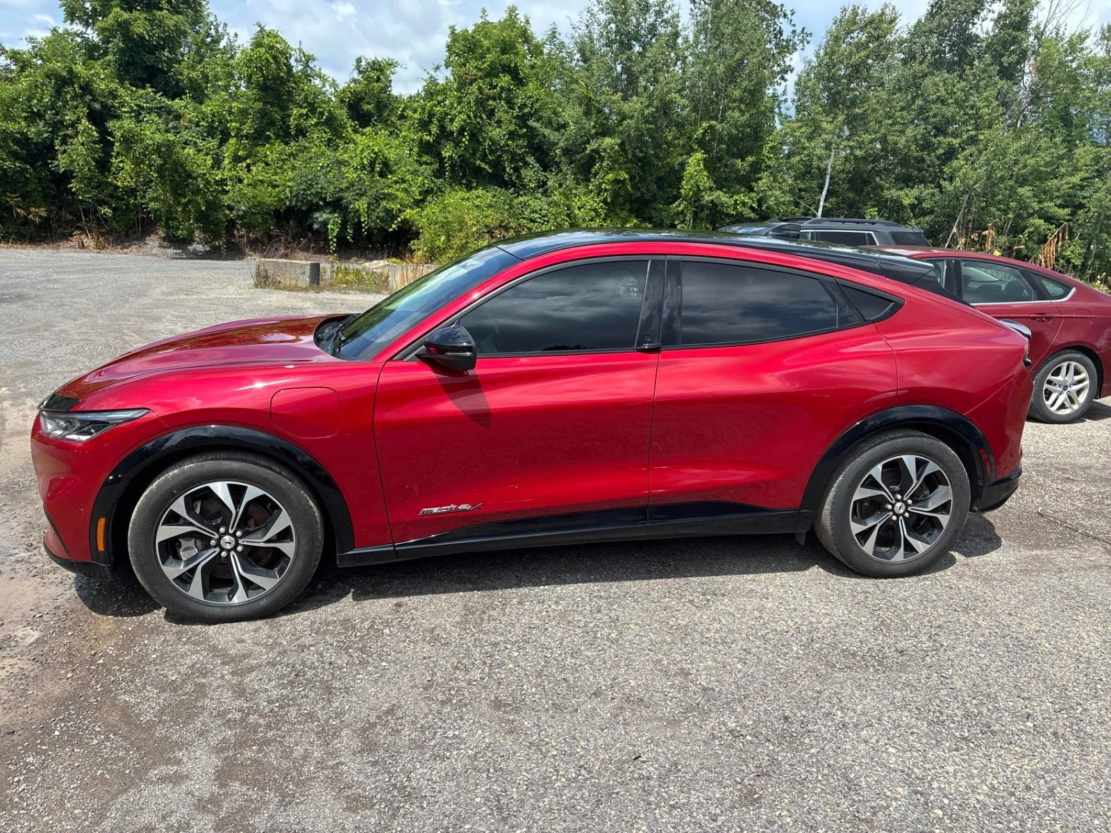Ford Mustang Mach-E Premium ���������� ���� �� �������� | Mobile.bg � ����������� 5