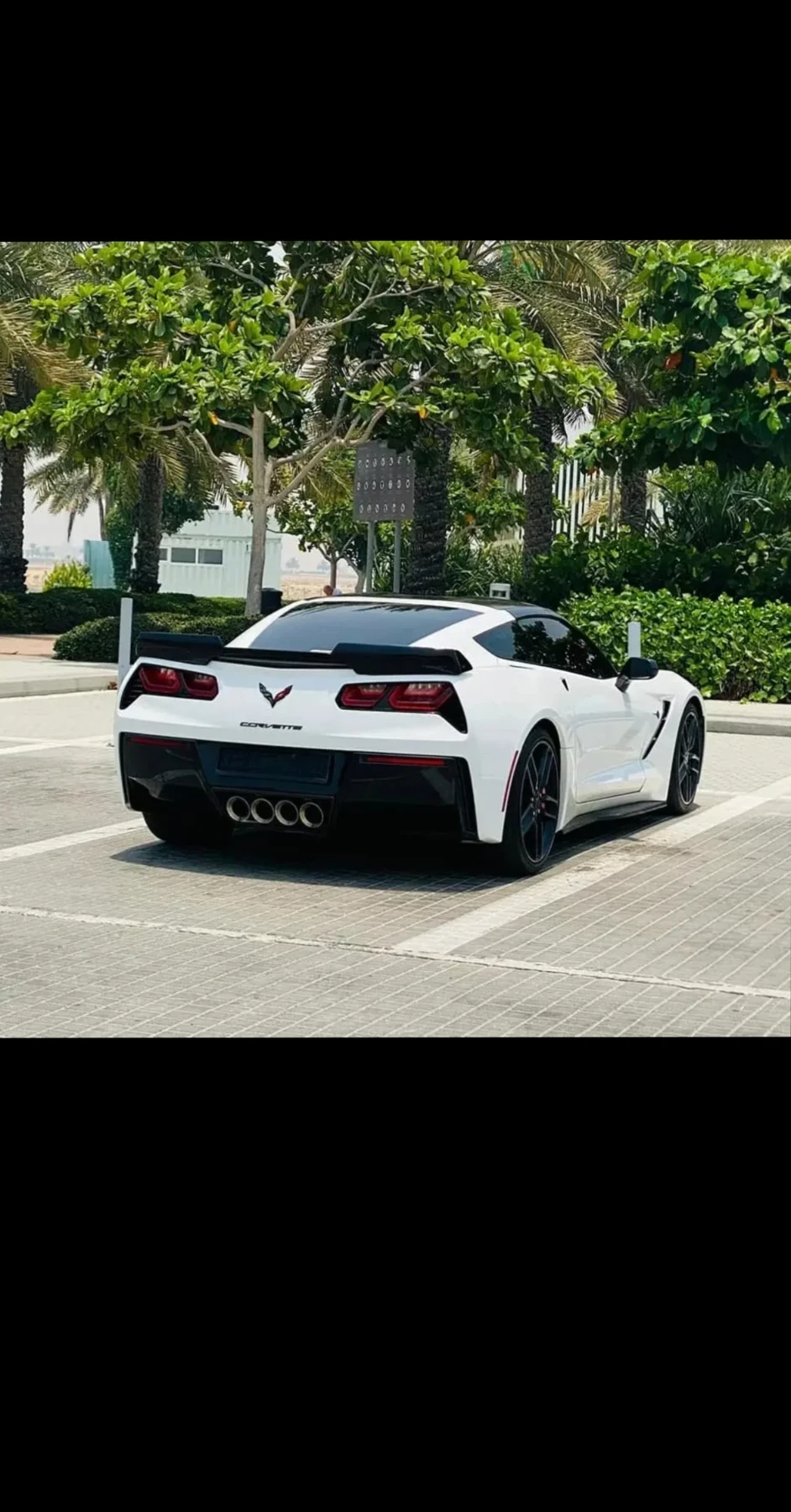 Chevrolet Corvette  - изображение 4