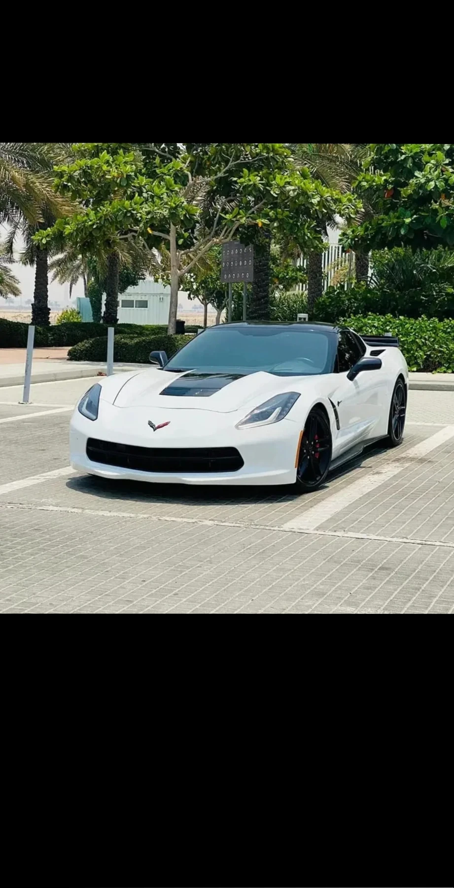 Chevrolet Corvette  - изображение 3