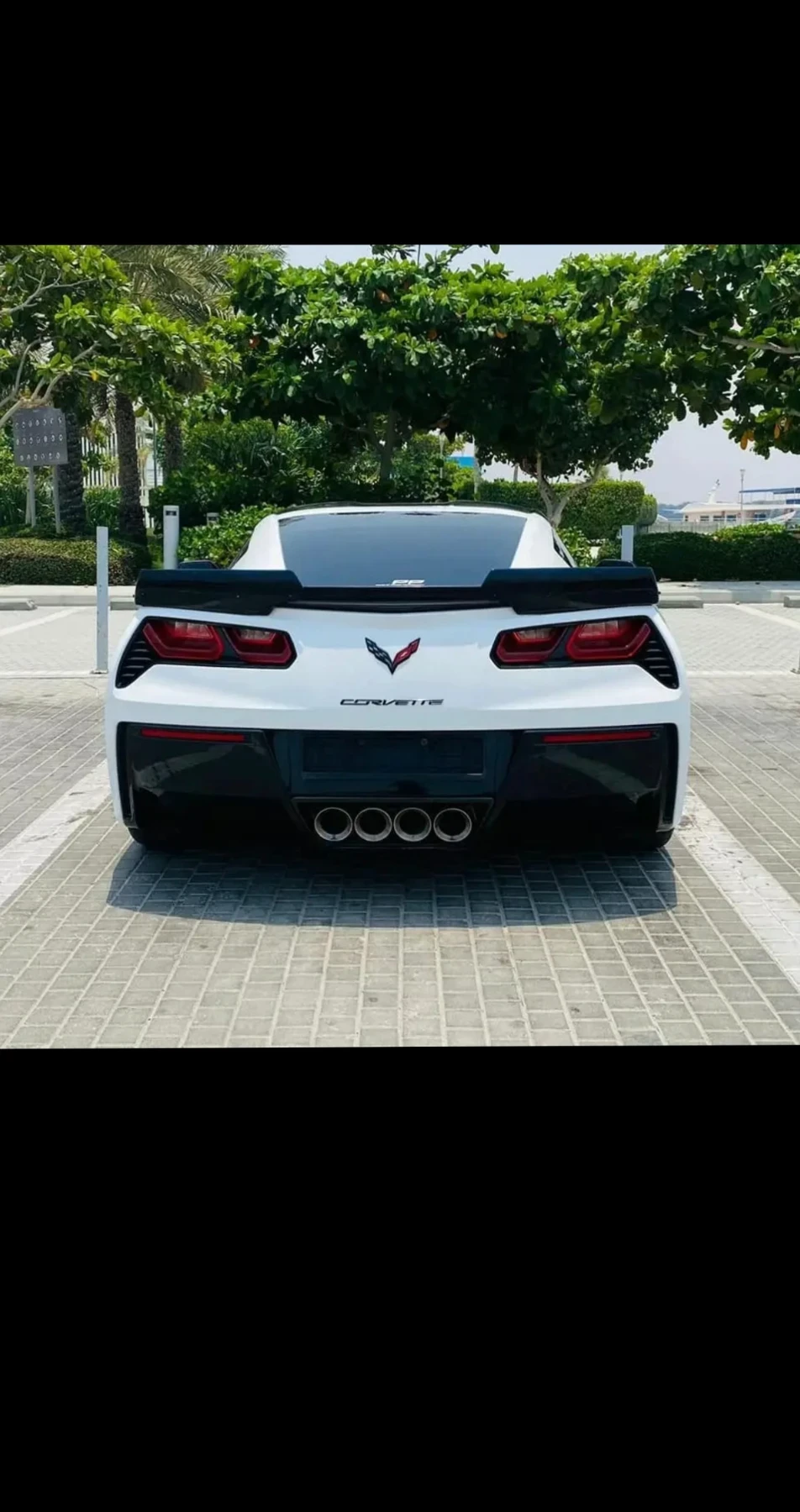 Chevrolet Corvette  - изображение 6