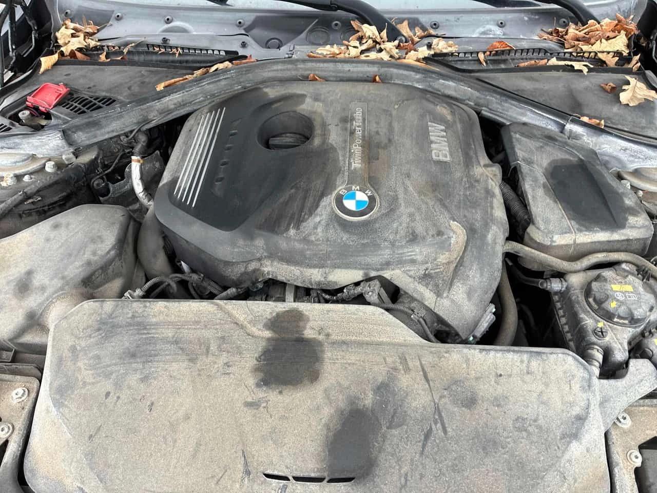 BMW 330 М ПАКЕТ/330i xDrive/ПОДГРЕВ/ПАМЕТ/ШИБЕДАХ/КЛИП, снимка 16 - Автомобили и джипове - 54222227