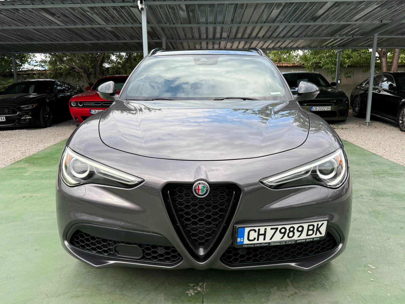 Alfa Romeo Stelvio Q4 - изображение 2