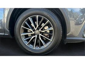 Lexus NX 450 Месечна вноска от 1120 лв. - 99990 лв. / 51124.08 € - 60584665 16