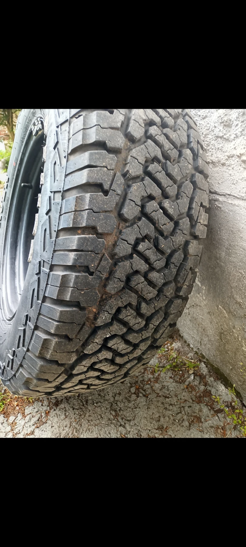 ���� � ������ 245/70R16 �� Nissan Terrano | Mobile.bg � ����������� 6