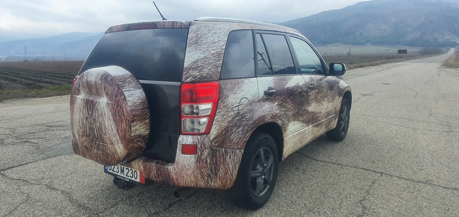 Suzuki Grand vitara * 2.4* Ръчка* 4x4* , снимка 7 - Автомобили и джипове - 53966039