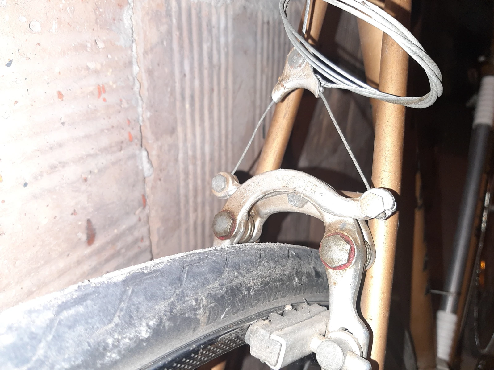 ������ ReginaSport - ����� | Mobile.bg � ����������� 5