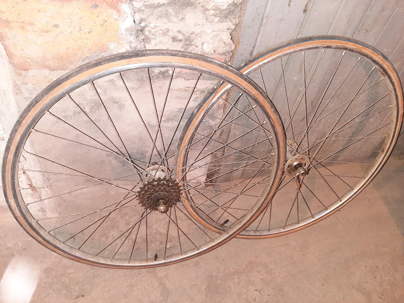 ������ ReginaSport - ����� | Mobile.bg � ����������� 6