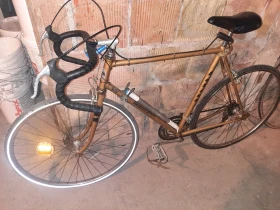 ������ ������