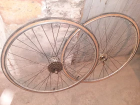 ������ ReginaSport - ����� | Mobile.bg � ����� ������ 6