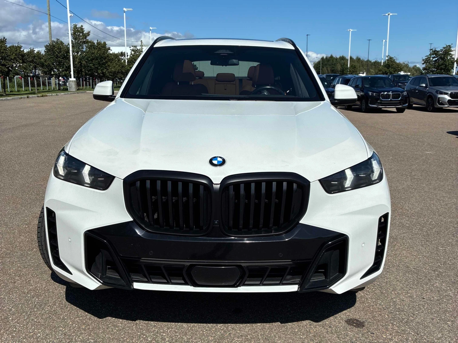 BMW X5 * xDrive40i * CARFAX * ОПЦИЯ ЗА ФИНАНСИРАНЕ , снимка 6 - Автомобили и джипове - 55850112