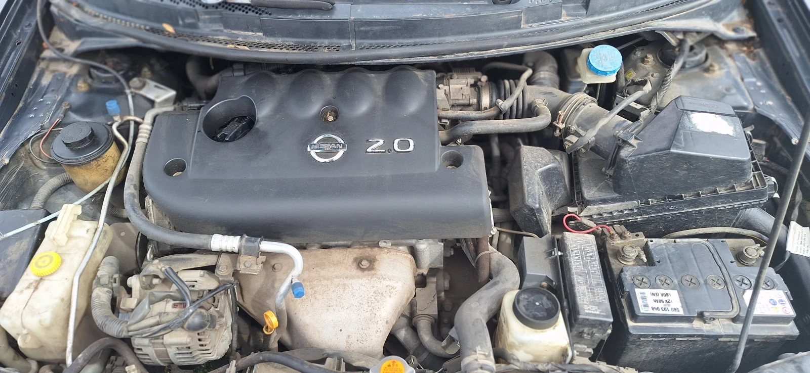 Nissan Primera  - изображение 7