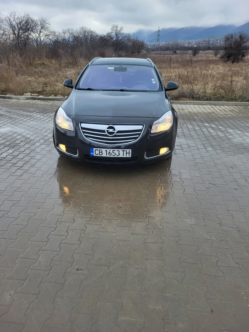 Opel Insignia, снимка 1 - Автомобили и джипове - 48775948