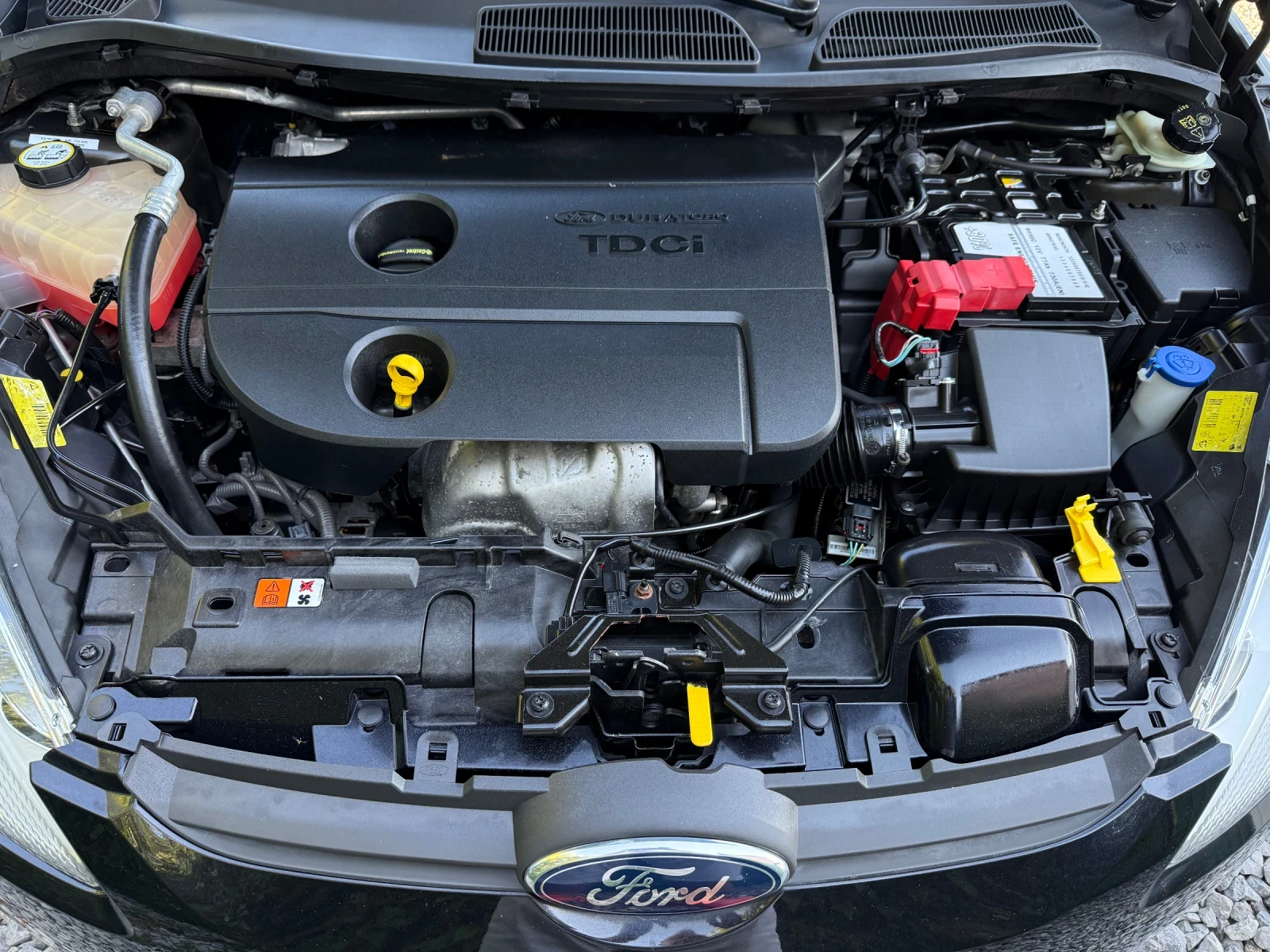 Ford Fiesta 1.4TDCi Titanium 70k.c. EURO5a | Mobile.bg   15