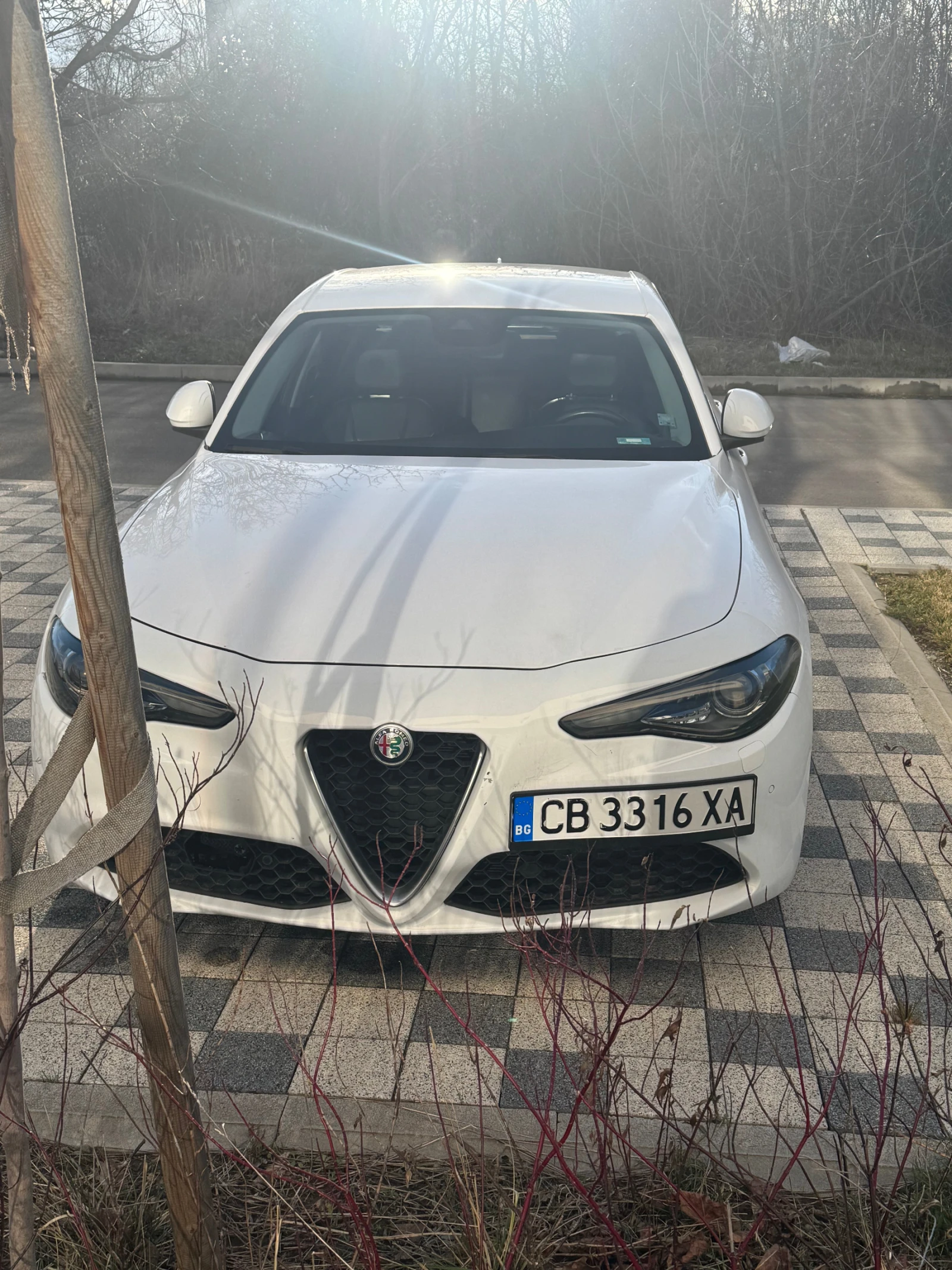 Alfa Romeo Giulia | Mobile.bg � ����������� 1