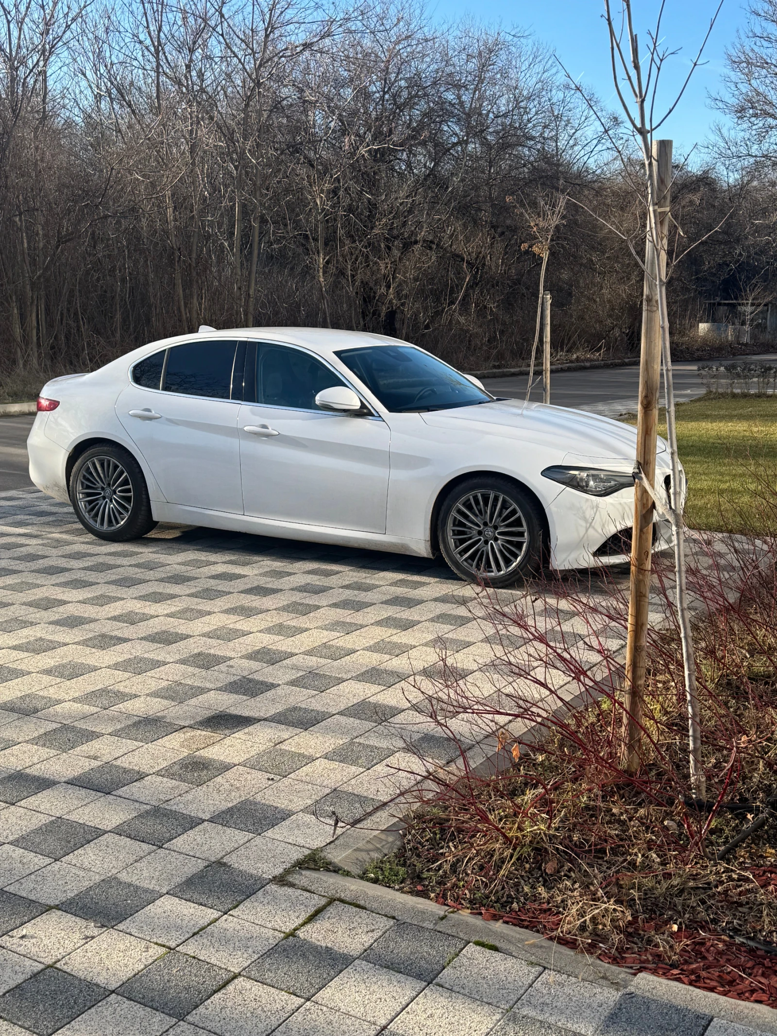 Alfa Romeo Giulia | Mobile.bg � ����������� 2