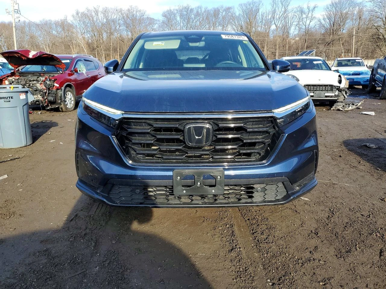 Honda Cr-v 1.5l Exl, снимка 5 - Автомобили и джипове - 54114149