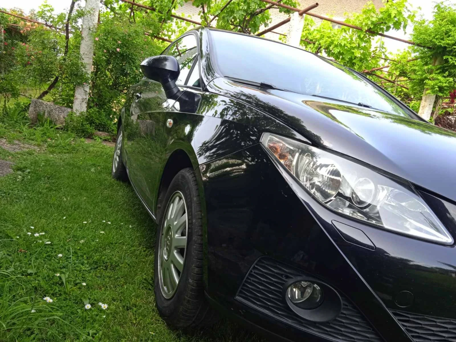 Seat Ibiza  - изображение 5