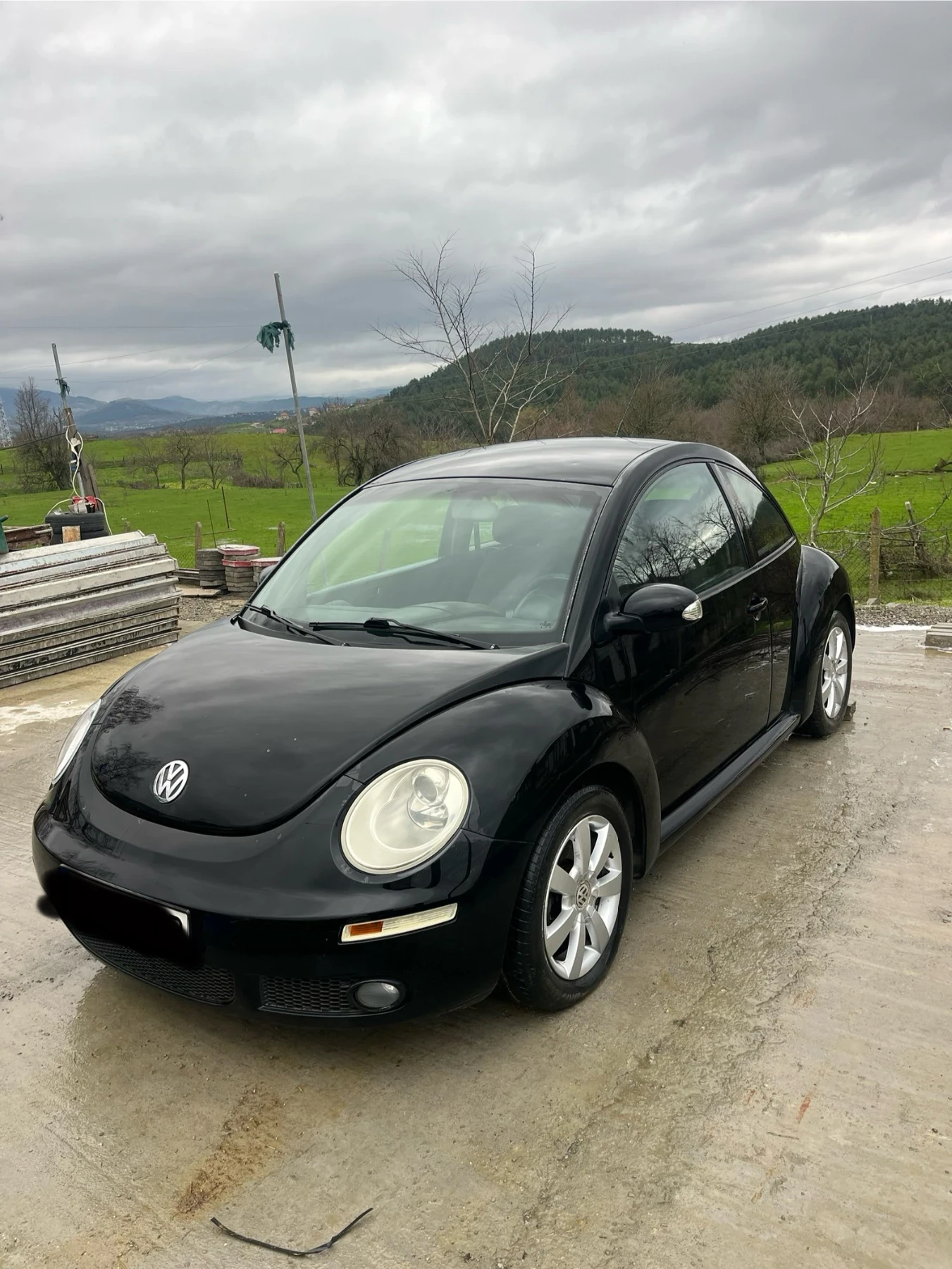 VW Beetle  - изображение 3