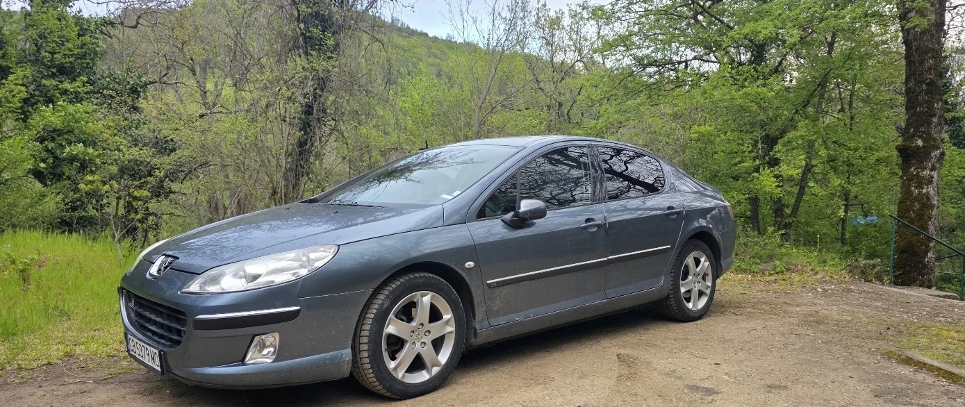 Peugeot 407 2.0 HDI, снимка 4 - Автомобили и джипове - 54574816
