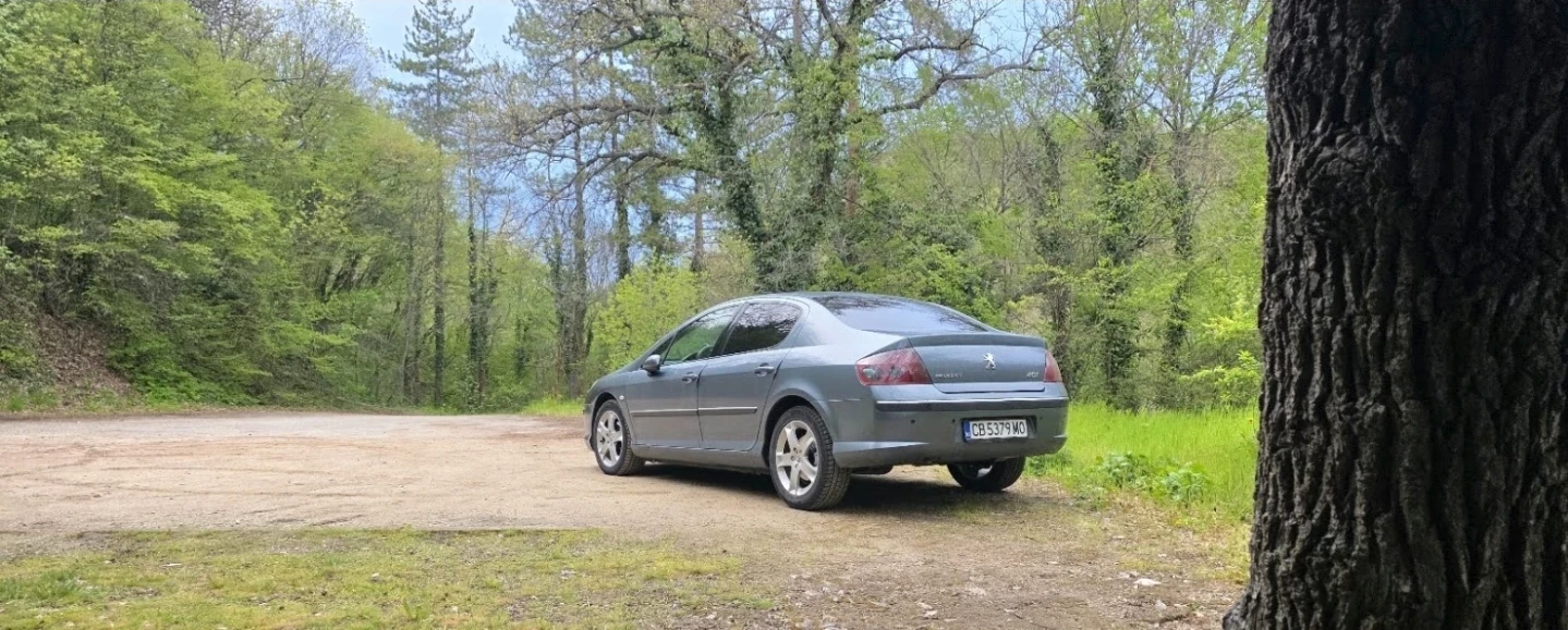 Peugeot 407 2.0 HDI