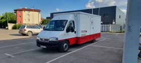 Кемпер Fiat МАГАЗИН МЕСО МЛЕЧНИ ПРОДУКТИ РИБА  | Auto.bg — изображение 13