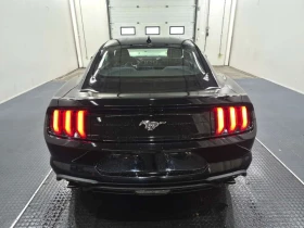 Ford Mustang * Fastback Ecoboost * CARFAX *  | Mobile.bg � ����� ������ 17