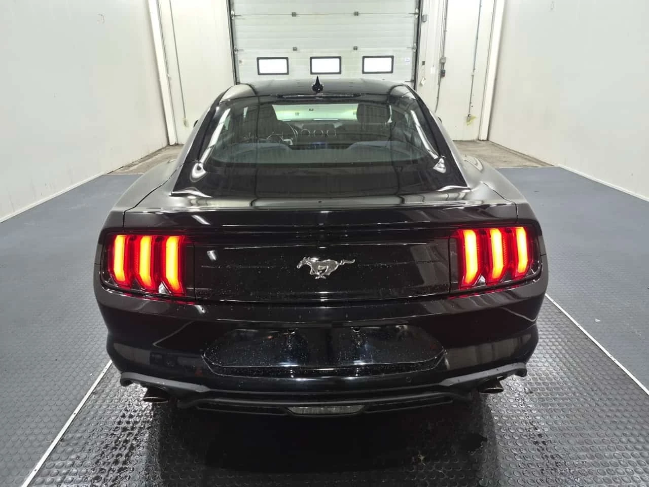 Ford Mustang * Fastback Ecoboost * CARFAX * , снимка 17 - Автомобили и джипове - 56351455