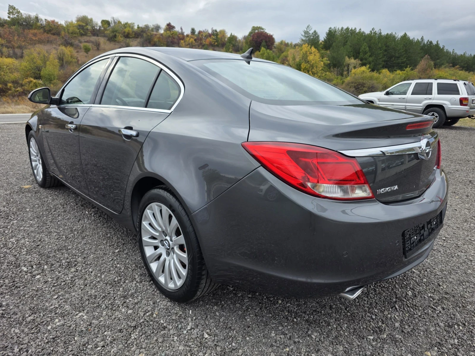 Opel Insignia Navi/Cosmo, снимка 4 - Автомобили и джипове - 56529403