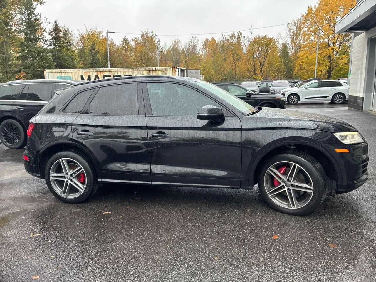 Audi SQ5 * Progressiv * CARFAX * ������ ���������������� *  | Mobile.bg � ����������� 3