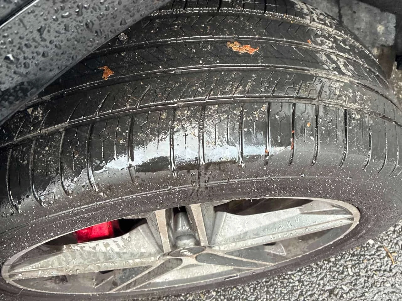 Audi SQ5 * Progressiv * CARFAX * ������ ���������������� *  | Mobile.bg � ����������� 7