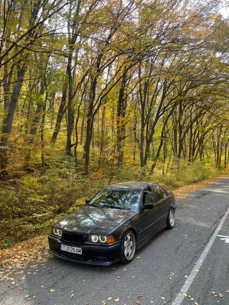 BMW 320, снимка 3 - Автомобили и джипове - 53600042