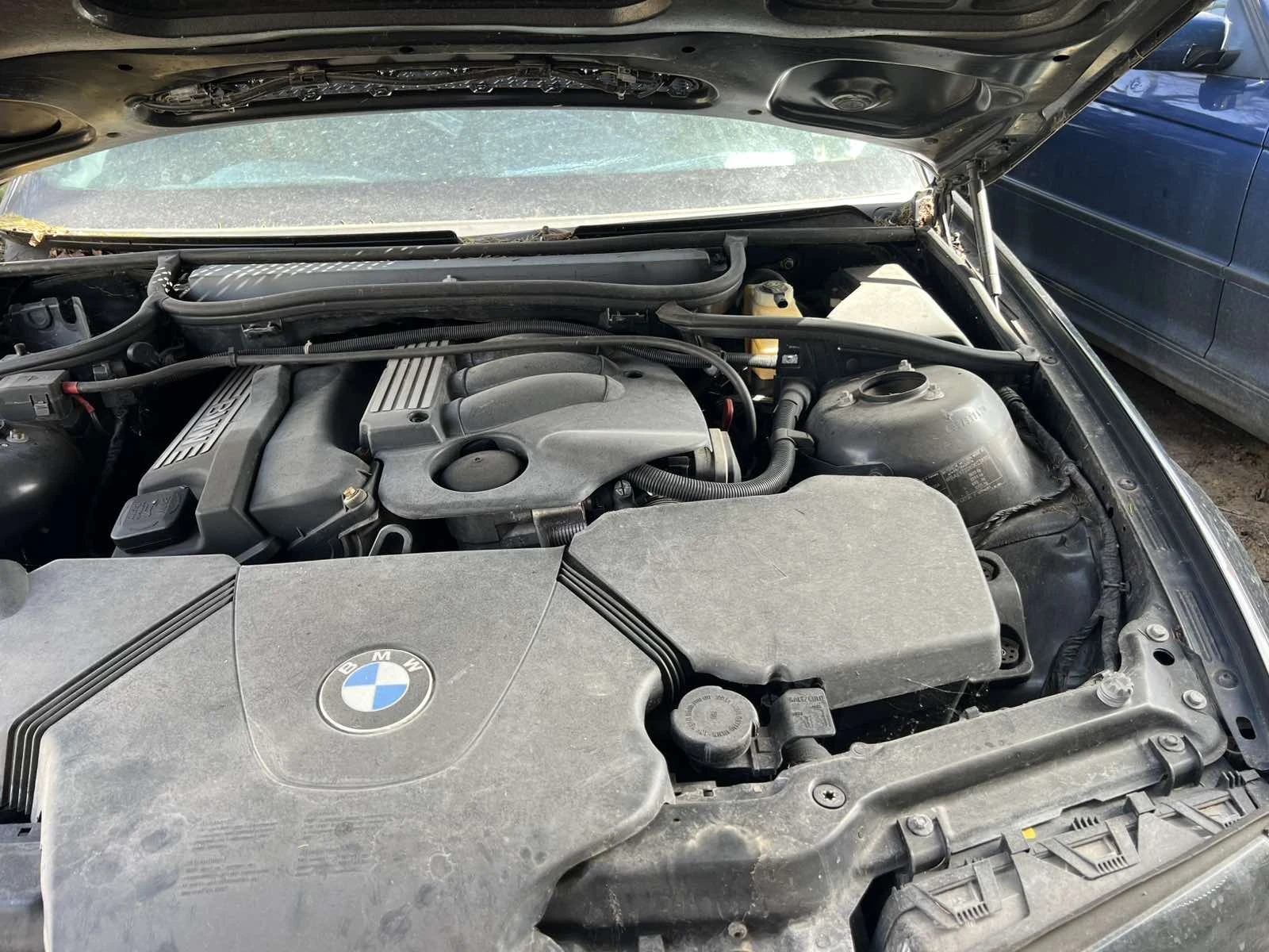 BMW 318 318 - изображение 9