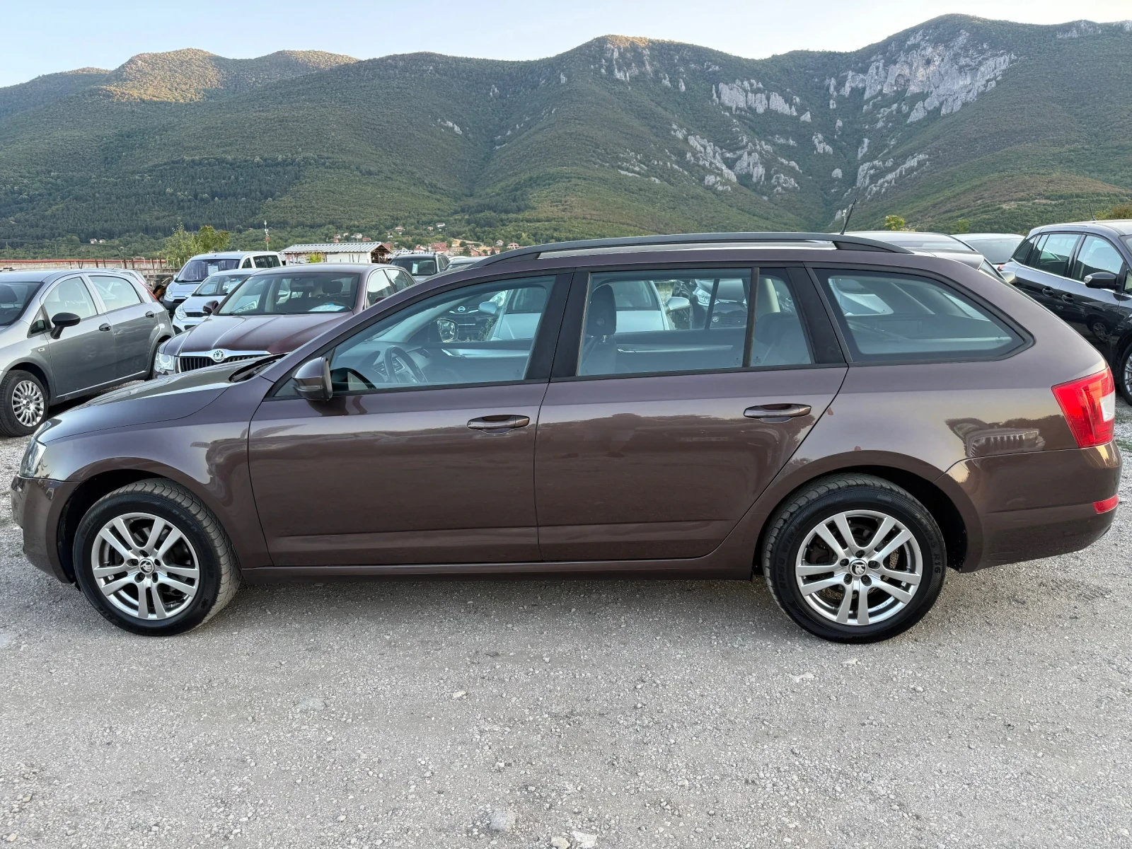 Skoda Octavia 1.6 TDI 4x4 111000км, снимка 6 - Автомобили и джипове - 55749806