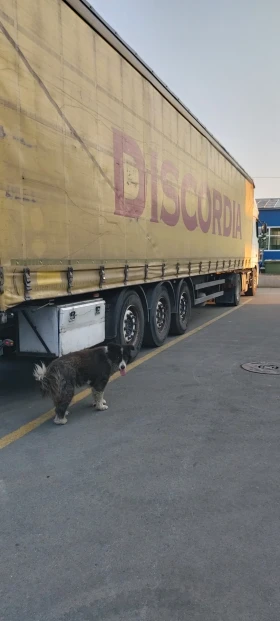 Daf XF 105 | Mobile.bg    2